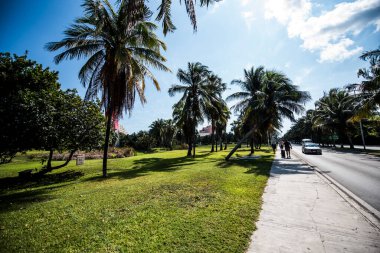 Cancun, Hotel Area, plajlar, deniz, yüzme havuzları, palmiye ağaçları, tropikal bitki örtüsü Meksika Körfezi kıyısında en az 15 ila en fazla 35 derece sıcaklıkta tropikal iklimi olan bir spa merkezidir.