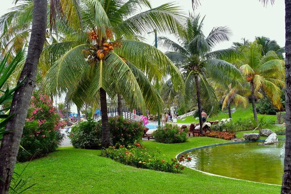 Cancun Zone Hôtelière Plages Mer Piscines Palmiers Végétation Tropicale Est — Photo