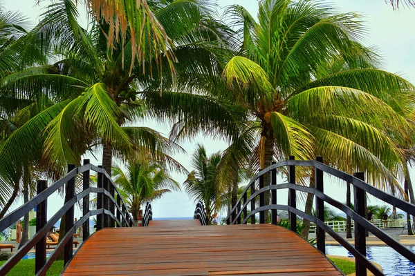 Cancun Hotel Area Praias Mar Piscinas Palmeiras Vegetação Tropical Resort — Fotografia de Stock