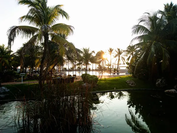 Канкун Готель Пляжі Море Басейни Пальми Тропічна Рослинність Курорт Узбережжі — стокове фото