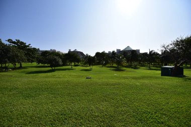 Cancun, Hotel Area, plajlar, deniz, yüzme havuzları, palmiye ağaçları, tropikal bitki örtüsü Meksika Körfezi kıyısında en az 15 ila en fazla 35 derece sıcaklıkta tropikal iklimi olan bir spa merkezidir.