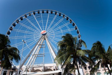 Cancun, Hotel Area, plajlar, deniz, yüzme havuzları, palmiye ağaçları, tropikal bitki örtüsü Meksika Körfezi kıyısında en az 15 ila en fazla 35 derece sıcaklıkta tropikal iklimi olan bir spa merkezidir.