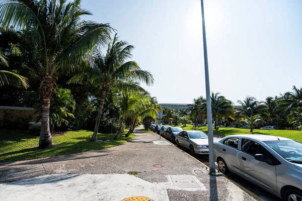 Cancún Hotel Area Strandok Tenger Uszodák Pálmafák Trópusi Növényzet Egy — Stock Fotó