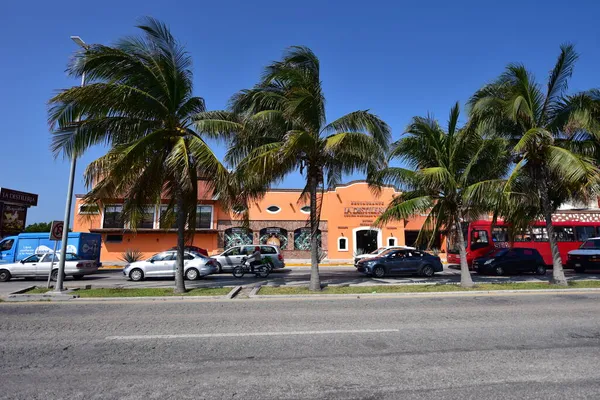 Cancun Zone Hôtelière Plages Mer Piscines Palmiers Végétation Tropicale Est — Photo