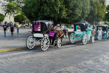 Izamal 'da, yolcu taşımacılığı için özel olarak tasarlanmış, dört tekerli, çekiş gücü olan, katlanmış çatıları olan, çiçeklerle süslenmiş ve sıcak ve parlak renklerle boyanmış bir at arabası.