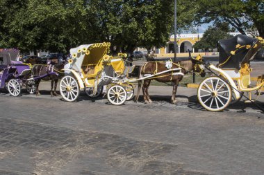 Izamal 'da, yolcu taşımacılığı için özel olarak tasarlanmış, dört tekerli, çekiş gücü olan, katlanmış çatıları olan, çiçeklerle süslenmiş ve sıcak ve parlak renklerle boyanmış bir at arabası.