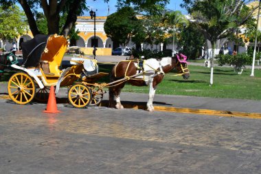 Izamal 'da, yolcu taşımacılığı için özel olarak tasarlanmış, dört tekerli, çekiş gücü olan, katlanmış çatıları olan, çiçeklerle süslenmiş ve sıcak ve parlak renklerle boyanmış bir at arabası.