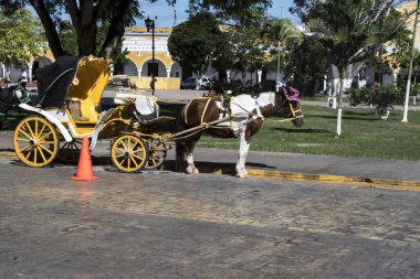 Izamal 'da, yolcu taşımacılığı için özel olarak tasarlanmış, dört tekerli, çekiş gücü olan, katlanmış çatıları olan, çiçeklerle süslenmiş ve sıcak ve parlak renklerle boyanmış bir at arabası.
