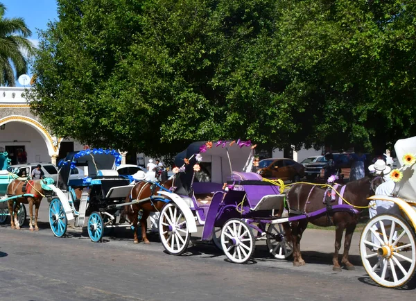 Carruaje Ocio Izamal Especialmente Diseñado Para Transporte Pasajeros Con Cuatro — Foto de Stock