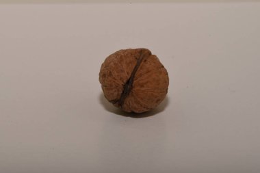 Ceviz ve ceviz çekirdeği Cevizi, hem doğal bitki örtüsü hem de ekinler olarak ılıman ve Akdeniz bölgelerinde yaygın bir ağaçtır. Doğu Balkanlar 'dan Himalayalar ve Çin' e kadar yayılır.