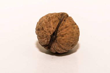 Ceviz ve ceviz çekirdeği Cevizi, hem doğal bitki örtüsü hem de ekinler olarak ılıman ve Akdeniz bölgelerinde yaygın bir ağaçtır. Doğu Balkanlar 'dan Himalayalar ve Çin' e kadar yayılır.