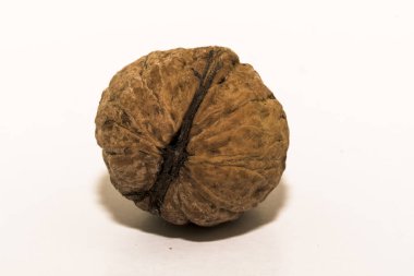 Ceviz ve ceviz çekirdeği Cevizi, hem doğal bitki örtüsü hem de ekinler olarak ılıman ve Akdeniz bölgelerinde yaygın bir ağaçtır. Doğu Balkanlar 'dan Himalayalar ve Çin' e kadar yayılır.