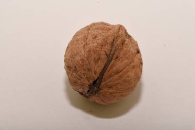 Ceviz ve ceviz çekirdeği Cevizi, hem doğal bitki örtüsü hem de ekinler olarak ılıman ve Akdeniz bölgelerinde yaygın bir ağaçtır. Doğu Balkanlar 'dan Himalayalar ve Çin' e kadar yayılır.