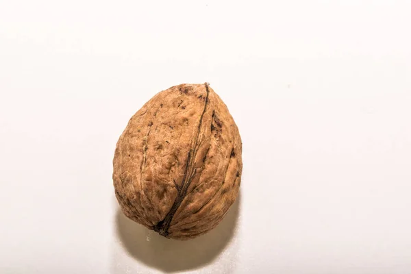 Walnuts Walnut Kernelswalnut Widespread Tree Temperate Mediterranean Areas Both Spontaneous — Stock Photo, Image