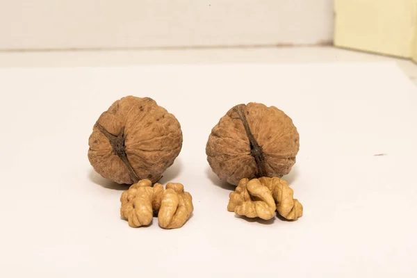 Walnuts Walnut Kernelswalnut Widespread Tree Temperate Mediterranean Areas Both Spontaneous — Stock Photo, Image