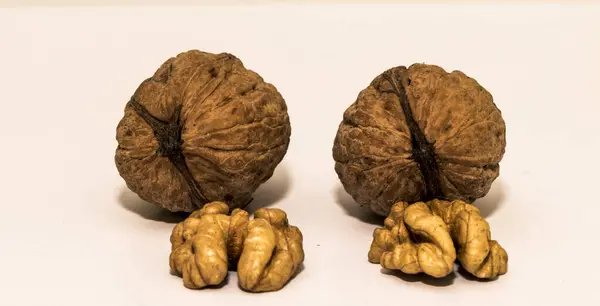 Walnuts Walnut Kernelswalnut Widespread Tree Temperate Mediterranean Areas Both Spontaneous — Stock Photo, Image