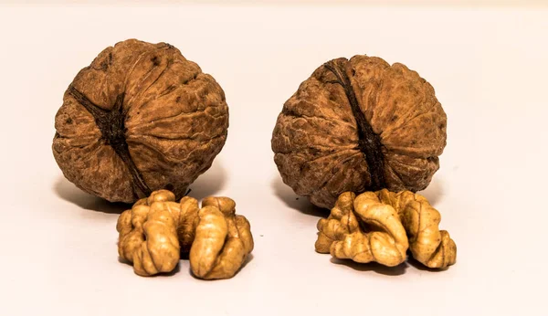 Walnuts Walnut Kernelswalnut Widespread Tree Temperate Mediterranean Areas Both Spontaneous — Stock Photo, Image