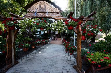 Pelargoniumlar, genellikle sardunya olarak bilinen ve yaklaşık 200 türü kapsayan çiçek açan bitkilerdir. Bu türler bahardan sonbahara kadar çiçek açarlar.