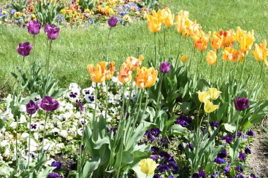 Laleler zarif şekilleri ve güzel renkleri nedeniyle sevilen çiçeklerdir. Bu çiçekler buketler ve çiçek aranjmanları için kullanılır ve düğün töreninde önemli bir rol oynar.