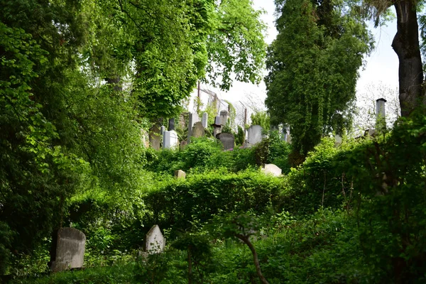 丘の上の教会墓地それは古い墓石だけでなく 教会のすぐ近くに特別な風景 森と緑の芝生で構成されている場所のための観光名所です — ストック写真