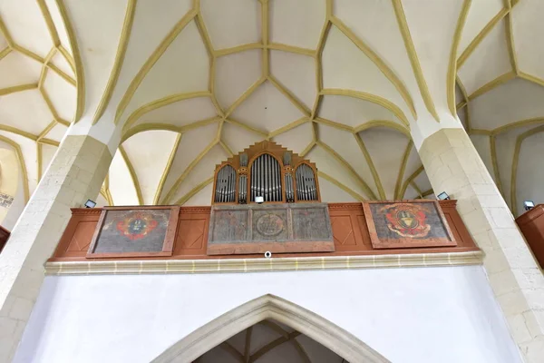 Uvnitř Katolického Kostela Sighisoary Varhany Oblouky Římskými Růžicemi Zvonicí Sochami — Stock fotografie