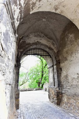 Romen ortaçağ mimari tarzı yarı dairesel kemerler, güçlendirilmiş duvarlar, mazgallı duvarlar, ahşap kepenkli pencereler, levrek yatakları, diğer kabartmalar, kale veya şehir arması ile karakterize ediliyor