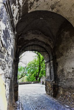 Romen ortaçağ mimari tarzı yarı dairesel kemerler, güçlendirilmiş duvarlar, mazgallı duvarlar, ahşap kepenkli pencereler, levrek yatakları, diğer kabartmalar, kale veya şehir arması ile karakterize ediliyor