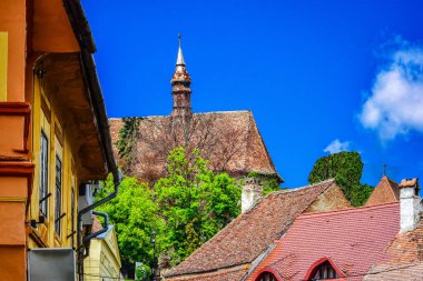 Sighisoara Kalesi 'ndeki ortaçağ binaları laik evler, tarihi anıtlar, her birinin adı, tarihi ve plaketleri Rumen İngilizcesi ve Almancası sokak ve binaları.
