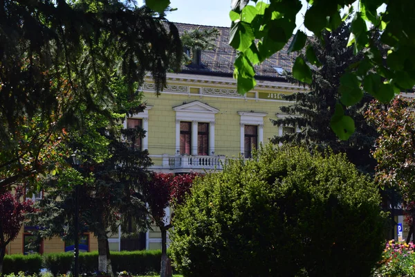 Sighisoara Kalesi 'ndeki ortaçağ binaları laik evler, tarihi anıtlar, her birinin adı, tarihi ve plaketleri Rumen İngilizcesi ve Almancası sokak ve binaları.