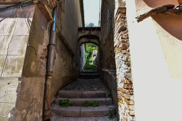 Sighisoara Kalesi 'ndeki ortaçağ binaları laik evler, tarihi anıtlar, her birinin adı, tarihi ve plaketleri Rumen İngilizcesi ve Almancası sokak ve binaları.