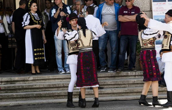 Tancerze Ludowi Transylwanii Noszą Czapki Skóry Jagnięcej Astrakhan Ozdobione Pawim — Zdjęcie stockowe