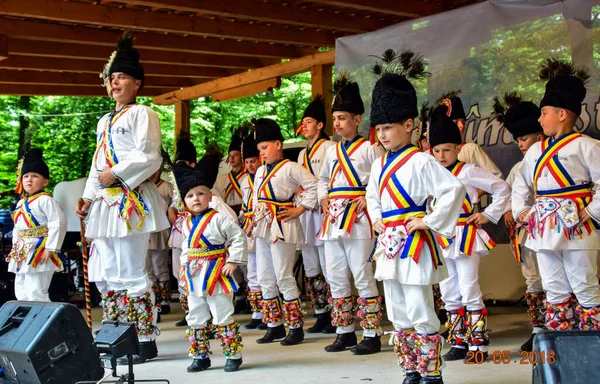 Folkdansare Från Transsylvanien Bär Astrakan Lammskinn Hattar Prydda Med Påfågel Royaltyfria Stockbilder