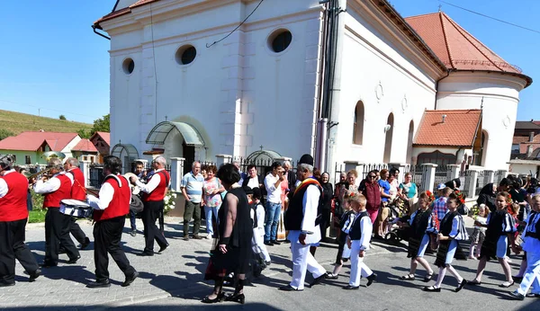 Sibiu Çayırı 'ndaki erkekler ve kızlar pastoral kostümler içinde yuvarlak kumaş şapkalar, etekli bir gömlek, pantolon, geniş bir deri kemer, göğüs ve kızlar beyaz bir fular, yakalı bir gömlek ve üç renkli bir kemer giyerler.