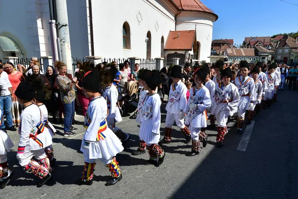 Sibiu Çayırı 'ndaki erkekler ve kızlar pastoral kostümler içinde yuvarlak kumaş şapkalar, etekli bir gömlek, pantolon, geniş bir deri kemer, göğüs ve kızlar beyaz bir fular, yakalı bir gömlek ve üç renkli bir kemer giyerler.