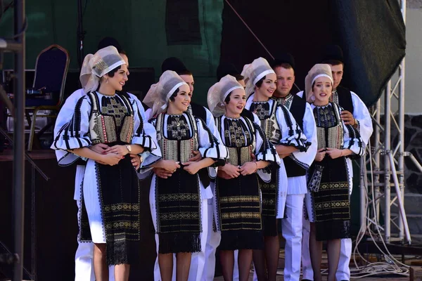 Dívky Chlapci Sibiu Louky Oblečené Pasteveckých Kostýmech Muži Nosí Kulaté — Stock fotografie