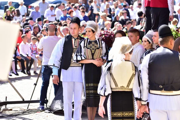 Dívky Chlapci Sibiu Louky Oblečené Pasteveckých Kostýmech Muži Nosí Kulaté — Stock fotografie