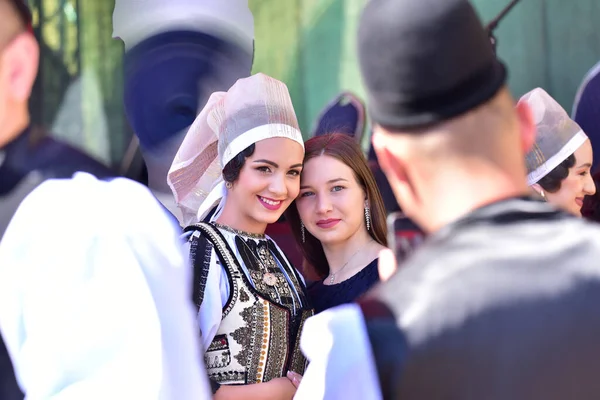 Sibiu Çayırı 'ndaki erkekler ve kızlar pastoral kostümler içinde yuvarlak kumaş şapkalar, etekli bir gömlek, pantolon, geniş bir deri kemer, göğüs ve kızlar beyaz bir fular, yakalı bir gömlek ve üç renkli bir kemer giyerler.