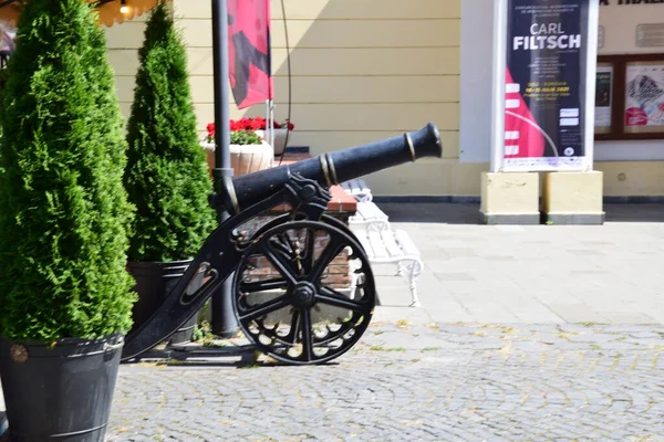 Ortaçağ topu, mermiyi ateşlemek için barut kullanan, uzun namlulu uzun namlulu, merminin yörüngesini sabitlemek için uzun namlulu bir silah..