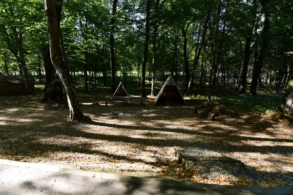 Sibiu Ormanı 'ndaki çingenelerin kamp ve satraları, demircinin atölyesinin düzenlendiği büyük çadırı, çingenelerin uyuduğu küçük çadırı, barakalı arabayı ve masayı kapsıyor.