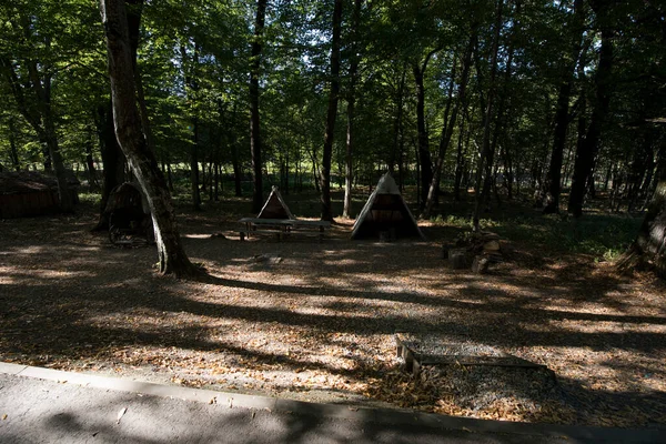 Sibiu Ormanı 'ndaki çingenelerin kamp ve satraları, demircinin atölyesinin düzenlendiği büyük çadırı, çingenelerin uyuduğu küçük çadırı, barakalı arabayı ve masayı kapsıyor.