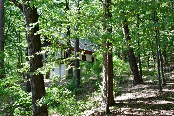 Orman Bölümü, tarım, restorasyon, ormanların korunması, korunması, av hayvanlarının korunması ve geri getirilmesi ve balık yetiştirme ve işletme çalışmalarını düzenleyen bir ormancılık yönetim binasıdır.