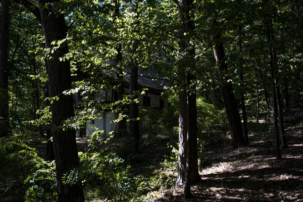 Orman Bölümü, tarım, restorasyon, ormanların korunması, korunması, av hayvanlarının korunması ve geri getirilmesi ve balık yetiştirme ve işletme çalışmalarını düzenleyen bir ormancılık yönetim binasıdır.