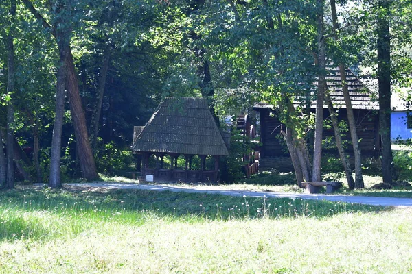 Moinho Água Medieval Nas Florestas Sibiumedieval Moinho Água Moinho Construído — Fotografia de Stock