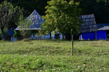 Geleneksel Romen tarzında ev, basitlik ve alçakgönüllülük, fayda ve doğal malzemeler, katı mimari, doğayla ilişkili olarak yapılmış, kapı eşiği kısa, pencereler küçük