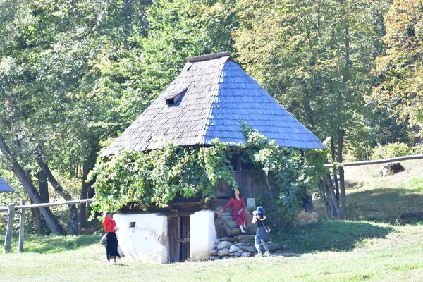 Geleneksel Romen tarzında ev, basitlik ve alçakgönüllülük, fayda ve doğal malzemeler, katı mimari, doğayla ilişkili olarak yapılmış, kapı eşiği kısa, pencereler küçük