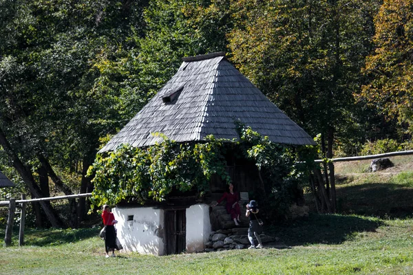 Hus Traditionell Rumänsk Stil Kännetecknas Enkelhet Och Blygsamhet Nytta Och — Stockfoto