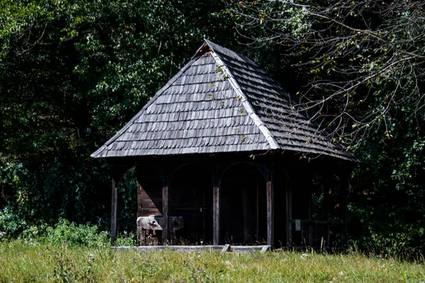 Hus Traditionell Rumänsk Stil Kännetecknas Enkelhet Och Blygsamhet Nytta Och — Stockfoto