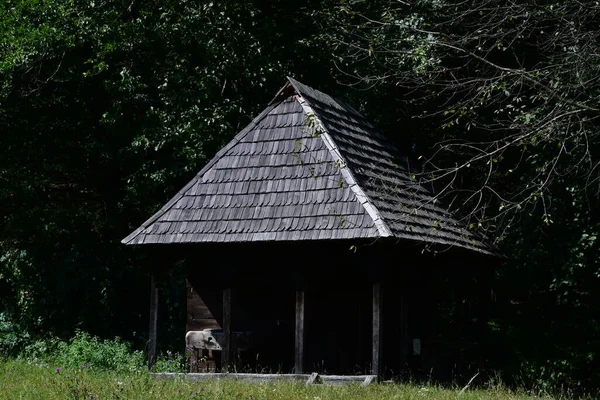 Hus Traditionell Rumänsk Stil Kännetecknas Enkelhet Och Blygsamhet Nytta Och — Stockfoto