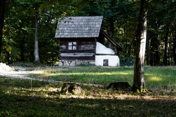 罗马尼亚语传统风格的房子 其特点是简朴 坚固的建筑 与大自然的关系经久不衰 门框短 窗户小 — 图库照片