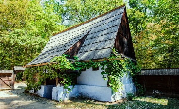 Dom Tradycyjnym Rumuńskim Stylu Charakteryzuje Się Prostotą Skromnością Użytecznością Naturalnymi — Zdjęcie stockowe